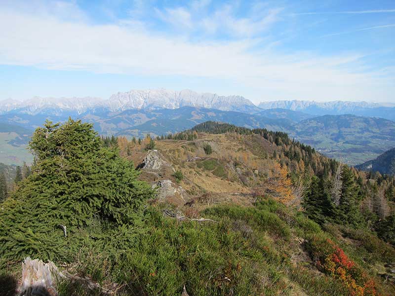 Bernkogel